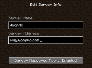 The server info screen for Java edition