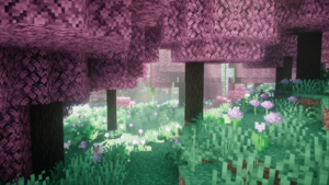 Sakura grove 2.png