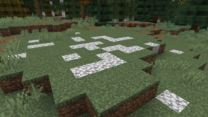 Diorite patch(2) TL2.1.png