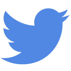 Logo Twitter B.png