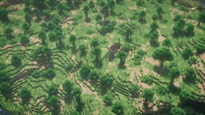 Sparse jungle aerial.png