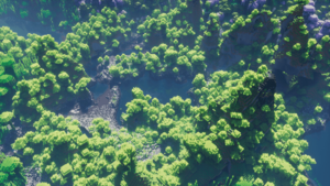 Tropical jungle aerial.png