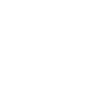 Logo Reddit.png