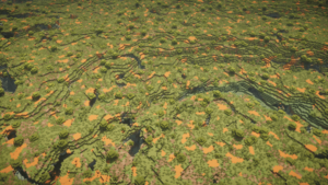 Arid highlands aerial.png