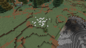 Diorite patch(1) TL2.1.png