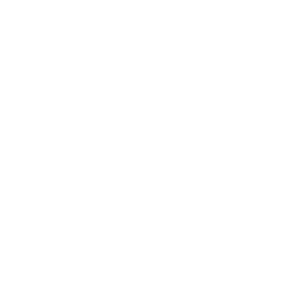 Logo Twitter.png